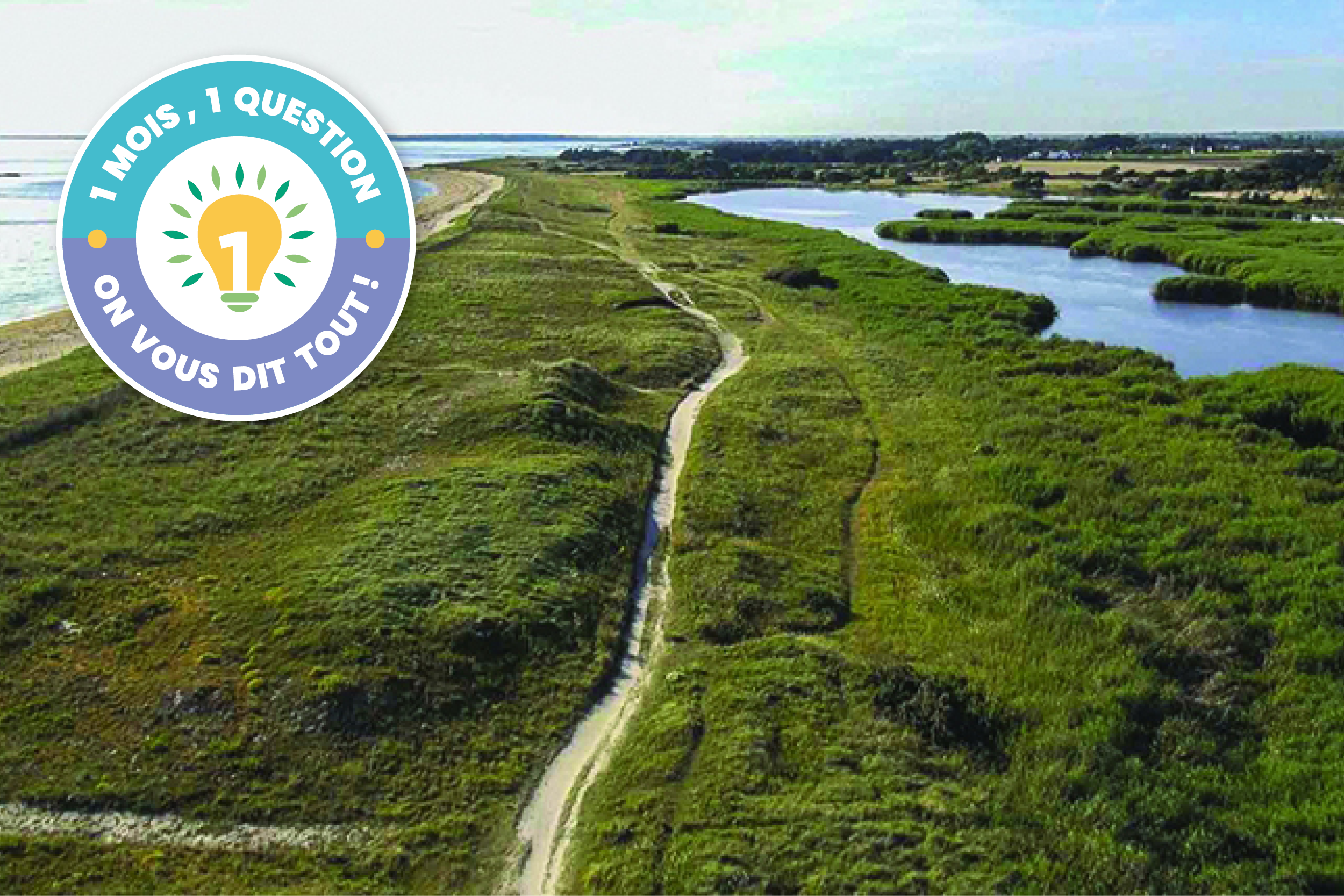 C’est quoi la santé environnementale ? Concarneau Cornouaille